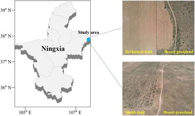 Response of soil fungal-community structure and function to land conversion to agriculture in desert grassland